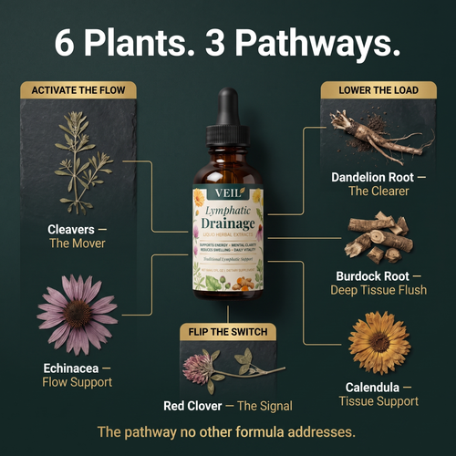 Drain Trapped Fluid & Debloat in as Little as 7 Days With the Plant-Based Lymph Pump